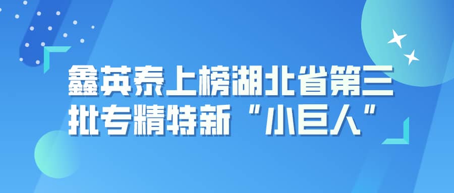 yl23455永利集团上榜湖北省第三批专精特新“小巨人”企业名单