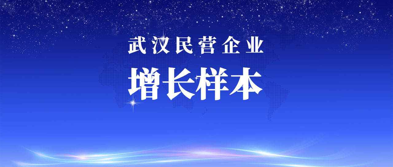 yl23455永利集团入选武汉市民营企业增长样本企业